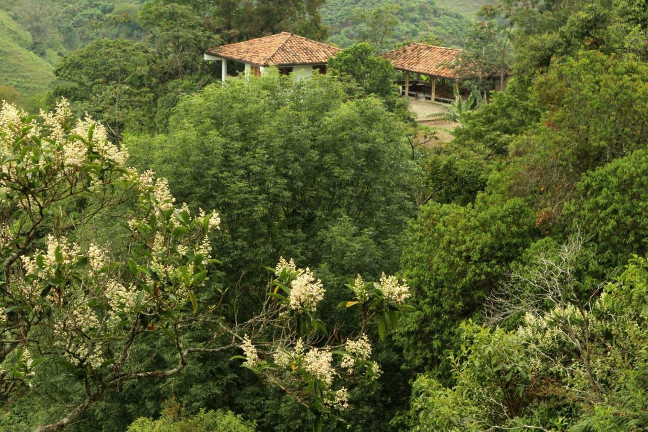Eco Hotel El Columpio 살렌토 외부 사진