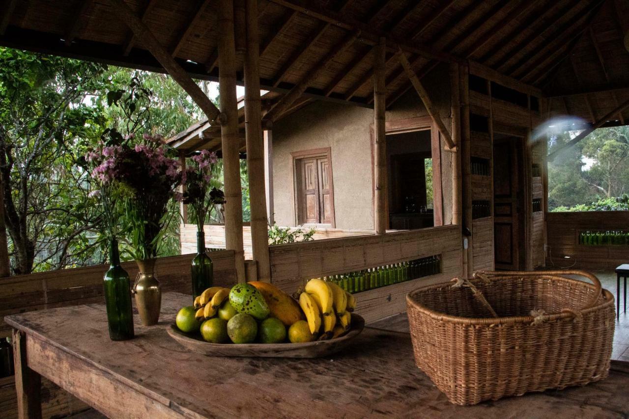 Eco Hotel El Columpio 살렌토 외부 사진
