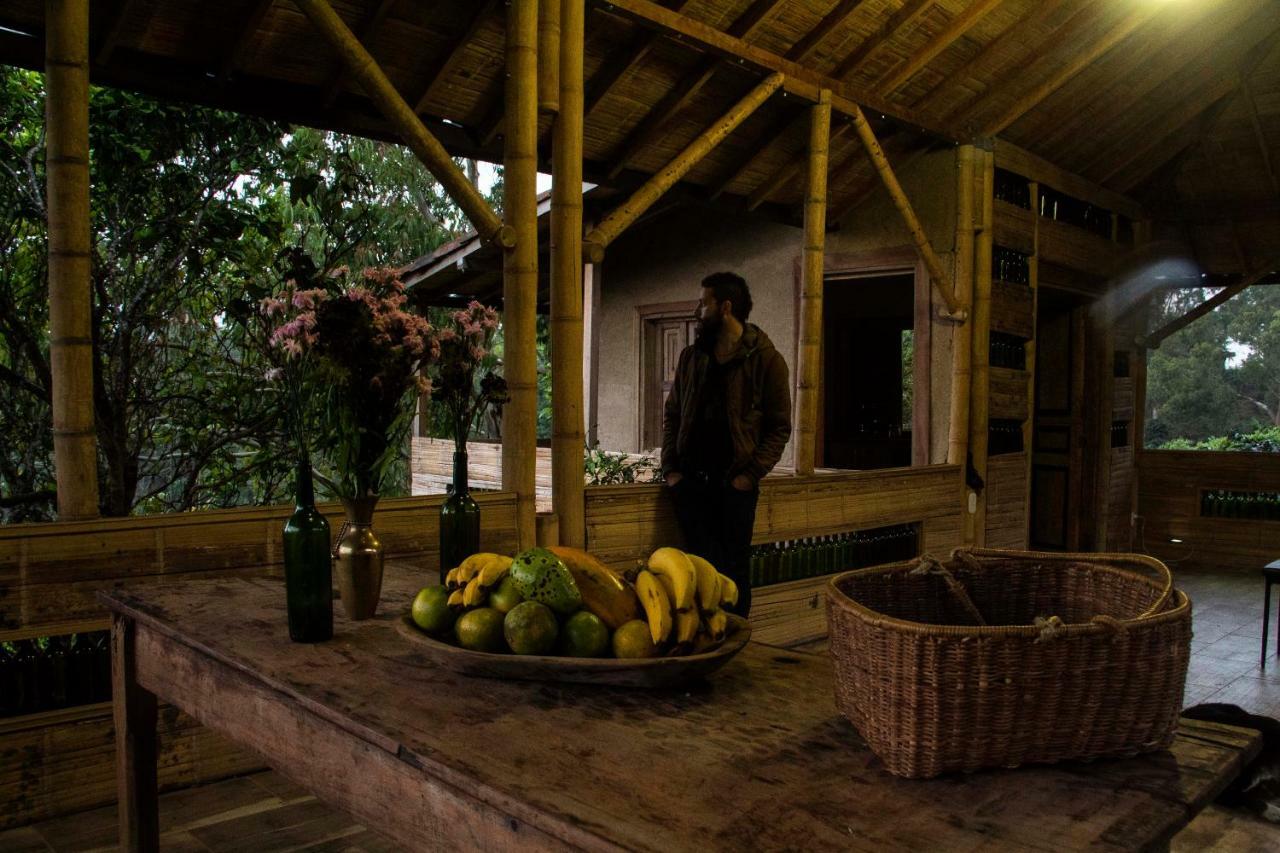 Eco Hotel El Columpio 살렌토 외부 사진